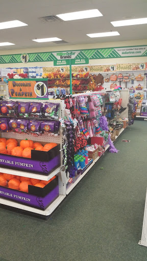 Dollar Store «Dollar Tree», reviews and photos, 10600 France Ave S, Bloomington, MN 55431, USA