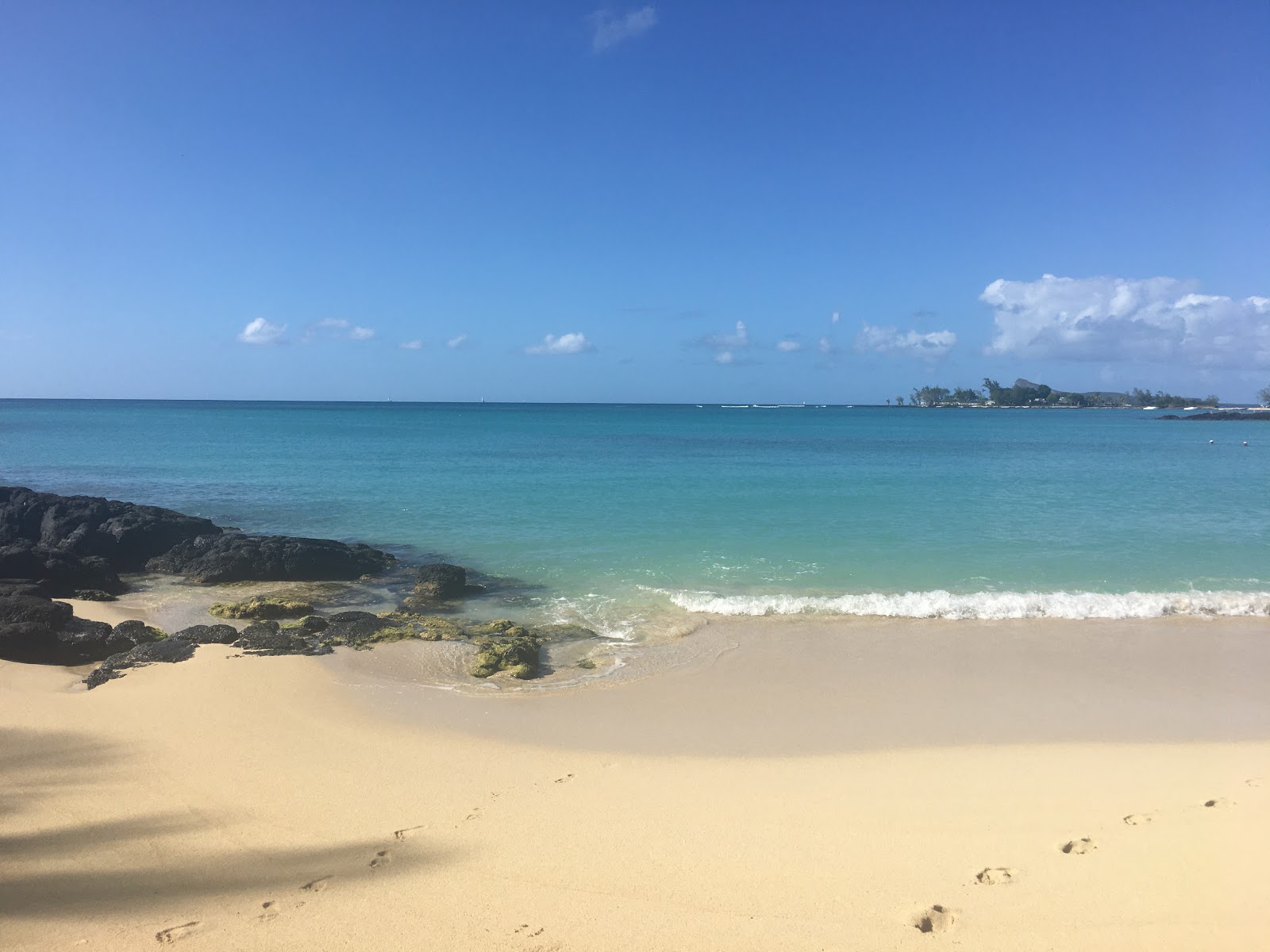 Photo de Hibiscus Beach avec un niveau de propreté de très propre