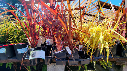 General Contractor «Laurel Bay Gardens Inc», reviews and photos, 88493 US-101, Florence, OR 97439, USA