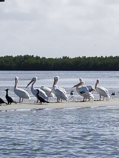 Fishing Charter «Ponce Inlet Water Sports», reviews and photos, 4936 S Peninsula Dr, Ponce Inlet, FL 32127, USA