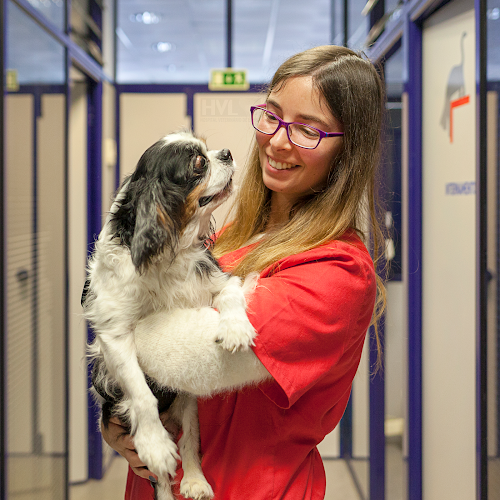 Avaliações doHospital Veterinário de Lisboa em Lisboa - Hospital