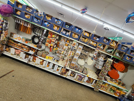 Dollar Store «Dollar Tree», reviews and photos, 21450 Jamaica Ave, Queens Village, NY 11428, USA