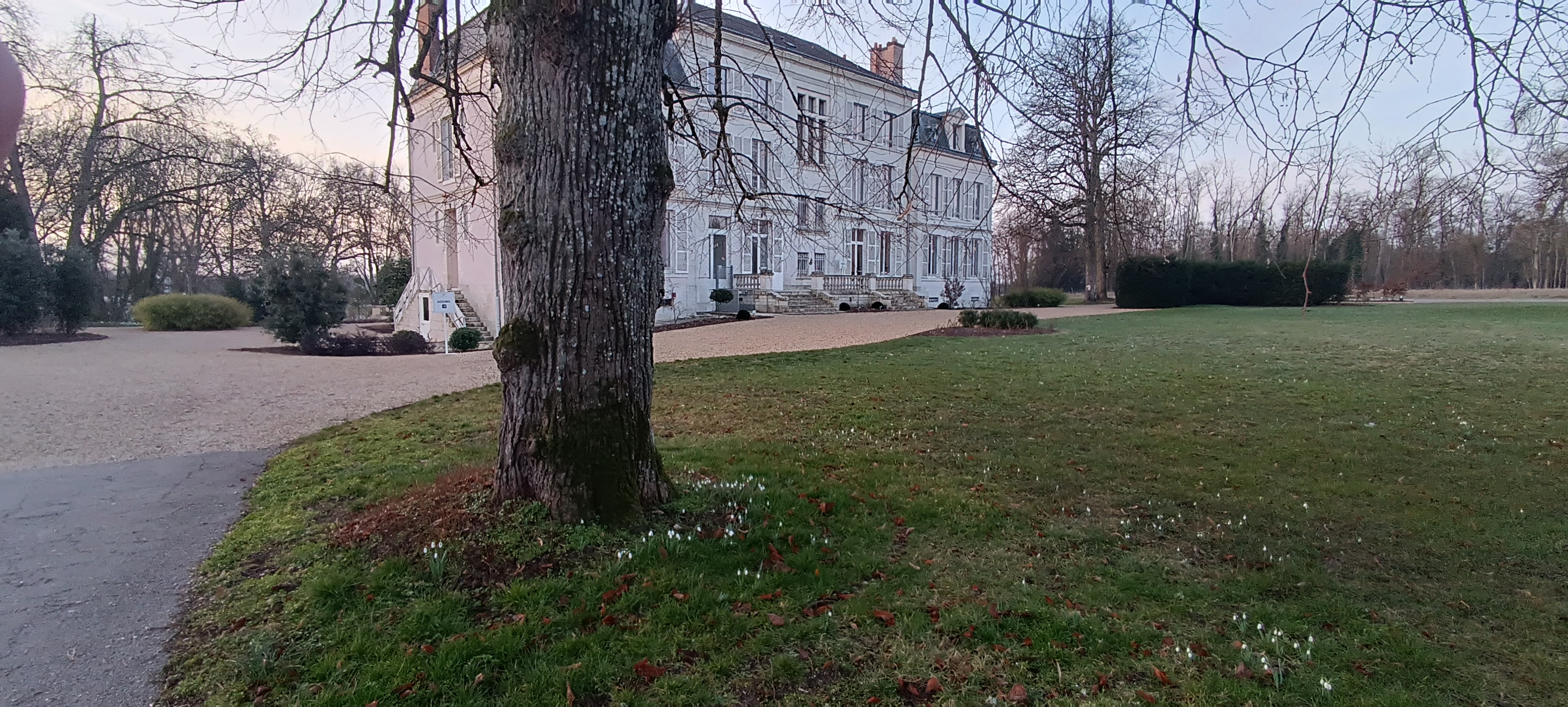 Photo n° 5 de l'avis de smokie.o fait le 20/02/2023 à 13:57