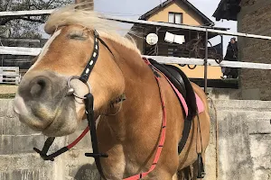 Konjičko rekreativni centar Planinski konj image