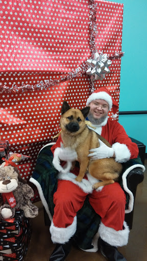 Pet Supply Store «PetSmart», reviews and photos, 10309 156th St E, Puyallup, WA 98373, USA