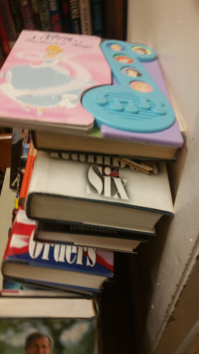 Non-Profit Organization «St. Vincent de Paul Thrift Store», reviews and photos, 213 Main St, West Chicago, IL 60185, USA