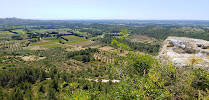 Vue sur les Alpilles du Restaurant Le Jujubier à Les Baux-de-Provence - n°1