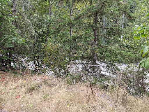 Public Golf Course «White River Disc Golf Course», reviews and photos, 2401 Stuck River Dr, Auburn, WA 98092, USA