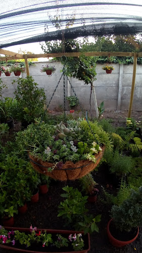 Opiniones de Vivero los Guindos de liray en Colina - Centro de jardinería