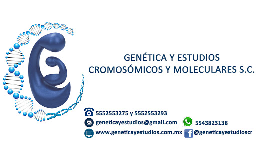 Genética y Estudios Cromosómicos y Moleculares S.C.