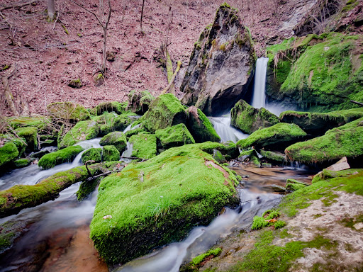 Park «Cave River Valley Park», reviews and photos, 6031-6871 N Cave River Valley Rd, Campbellsburg, IN 47108, USA