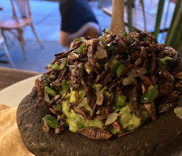 Mezcalero Coyoacan photo