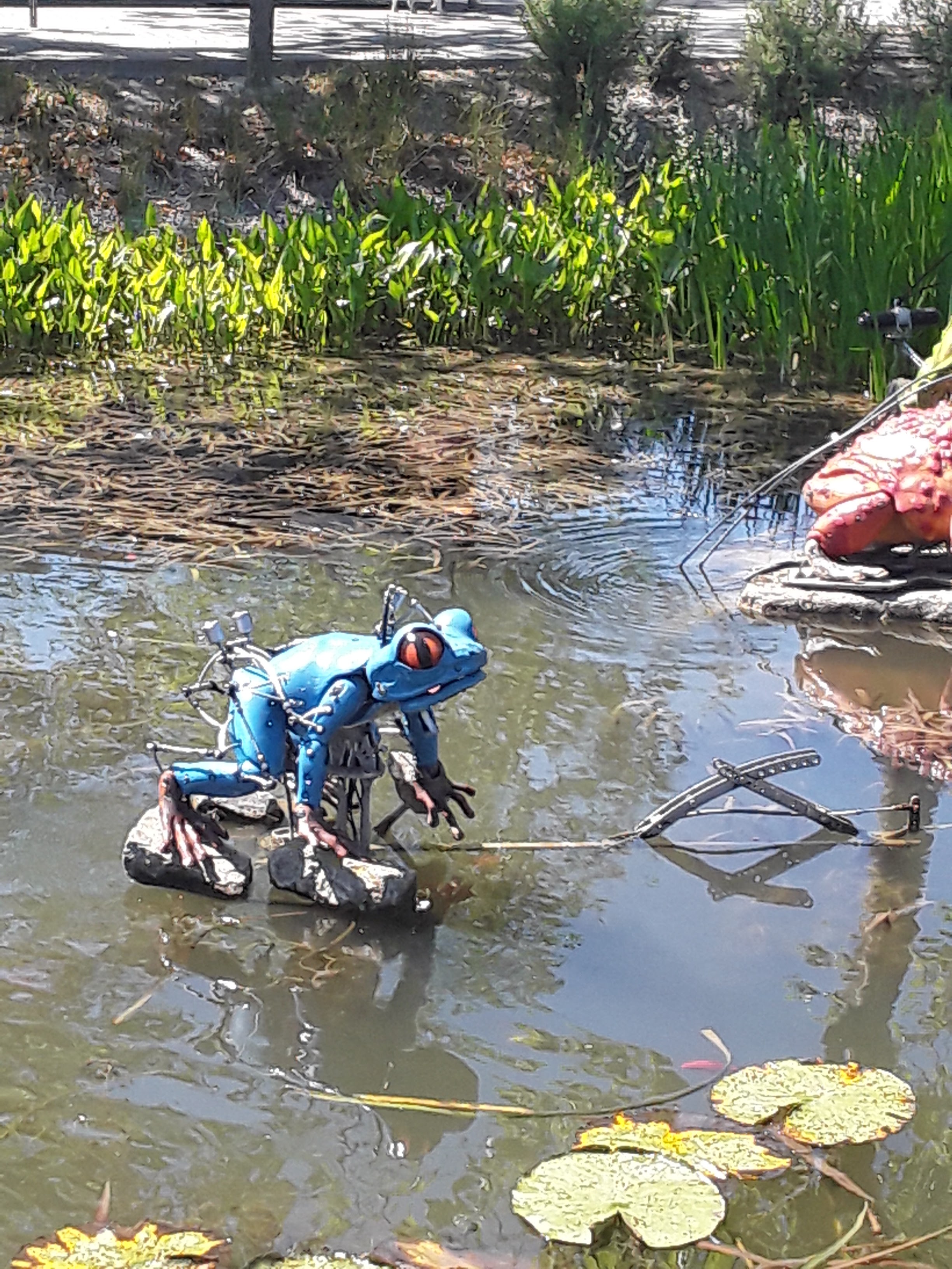 Photo n° 7 de l'avis de John.a fait le 24/06/2019 à 13:01
