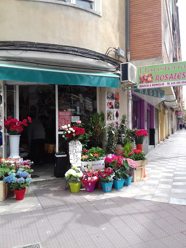 Floristeria Rosales