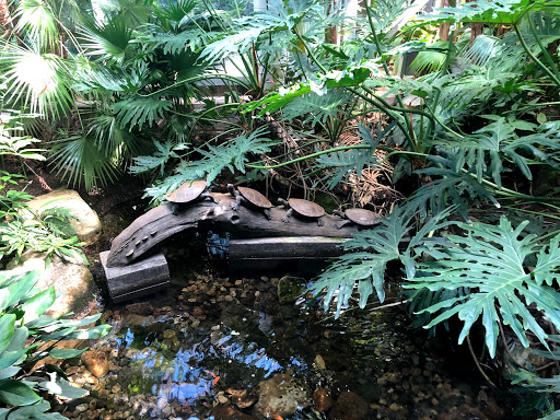 Gift Shop «Meijer Gardens Gift Shop», reviews and photos, 1000 E Beltline Ave NE, Grand Rapids, MI 49525, USA