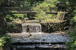 Omoto Park image