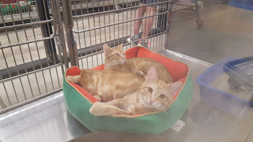 Pet Supply Store «PetSmart», reviews and photos, 10600 Melody Dr, Northglenn, CO 80234, USA