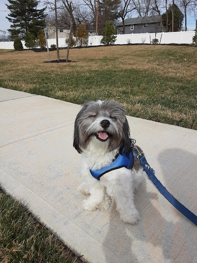 Pet Store «The Pet Shoppe», reviews and photos, 1284 NJ-35, Middletown, NJ 07748, USA