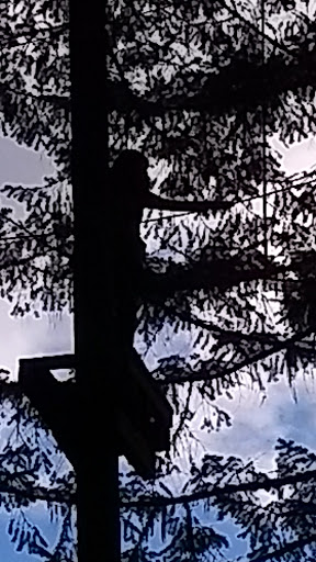 Tourist Attraction «Tree to Tree Adventure Park», reviews and photos, 2975 SW Nelson Rd, Gaston, OR 97119, USA