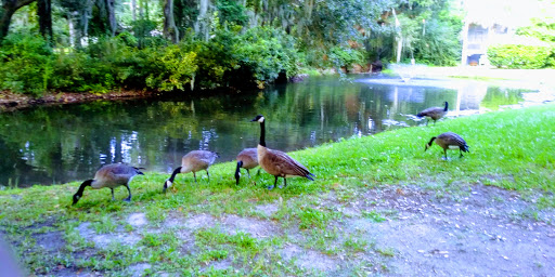 Park «Southside Park», reviews and photos, Southside Park Loop, Beaufort, SC 29902, USA
