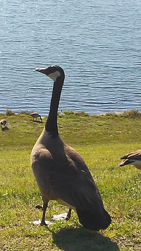 Park «Little Mulberry Park», reviews and photos, 3855 Hog Mountain Rd, Hoschton, GA 30548, USA