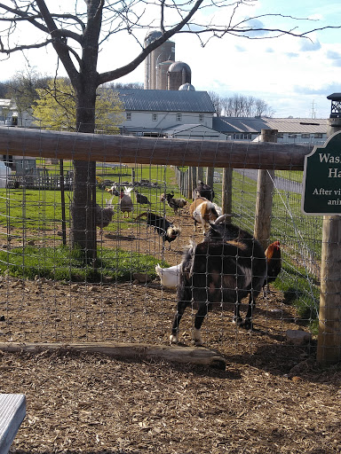 Supermarket «ALDI», reviews and photos, 105 N 11th Ave, Lebanon, PA 17046, USA