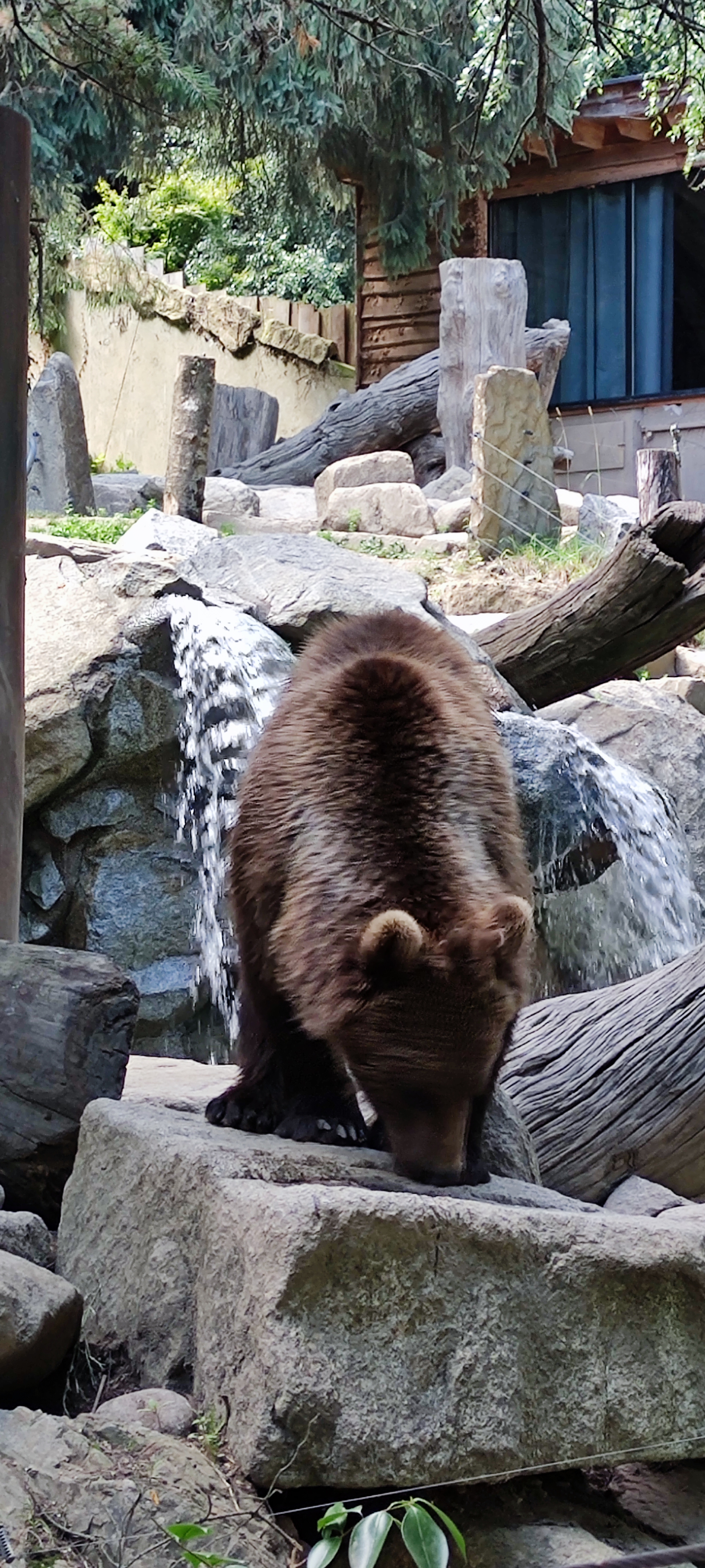 Photo n° 1 de l'avis de Aurélie.i fait le 15/07/2021 à 17:00