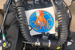 Diving Octopus Barlinek image