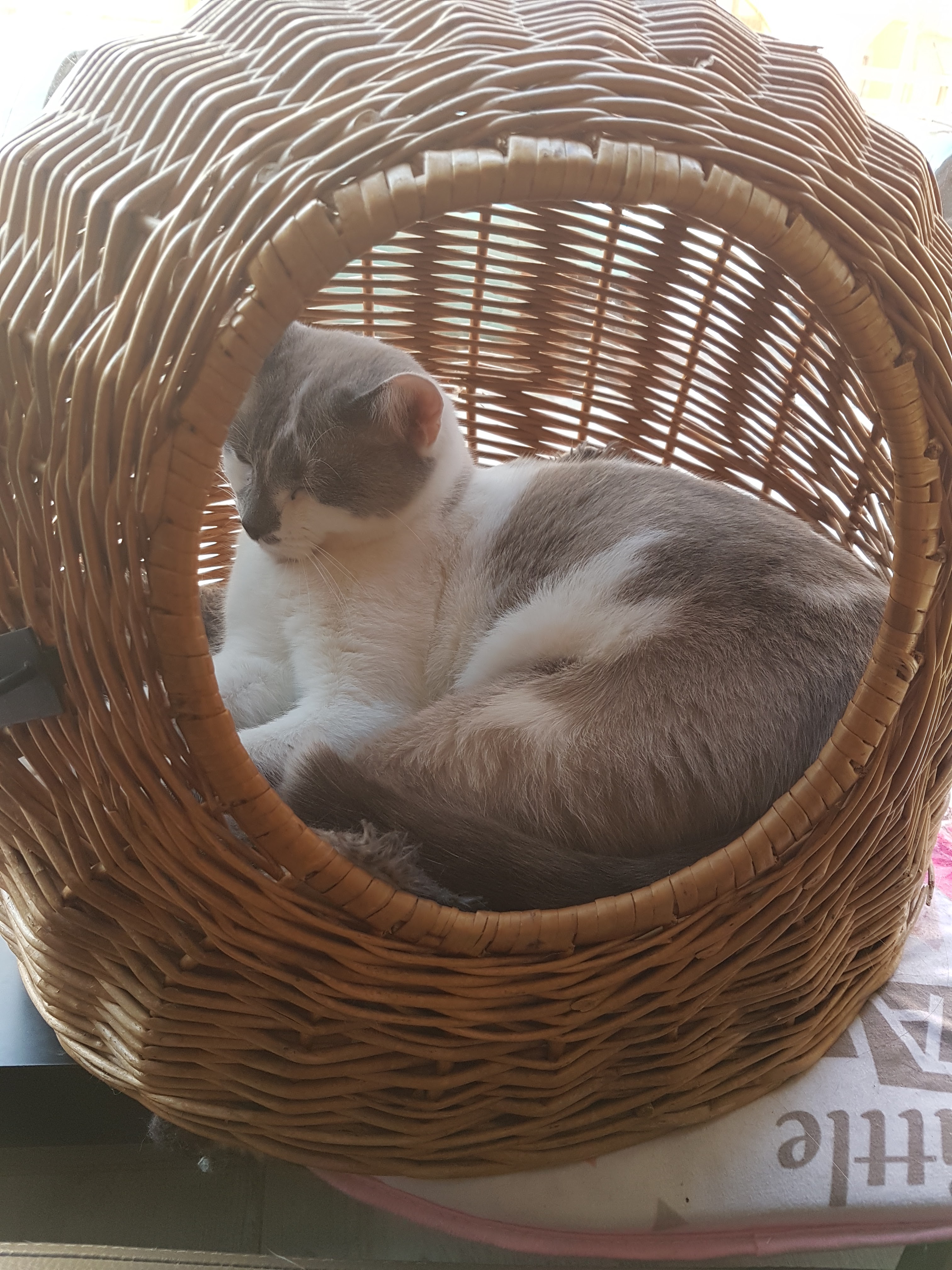 Photo n° 1 de l'avis de Mélanie.E fait le 28/03/2019 à 17:46