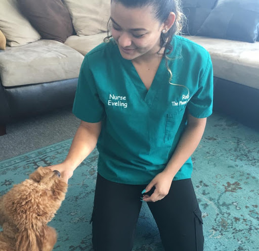 Phone Repair Service «Rob the Phone Doctor», reviews and photos, 3916 S Cleveland Ave, Fort Myers, FL 33901, USA