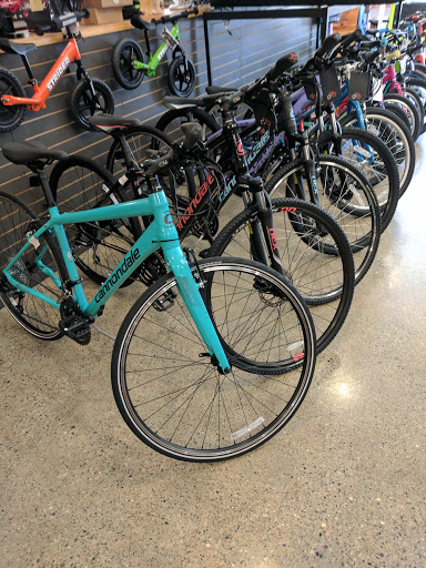 Bicycle Store «Velo City Cycles», reviews and photos, 326 S River Ave, Holland, MI 49423, USA