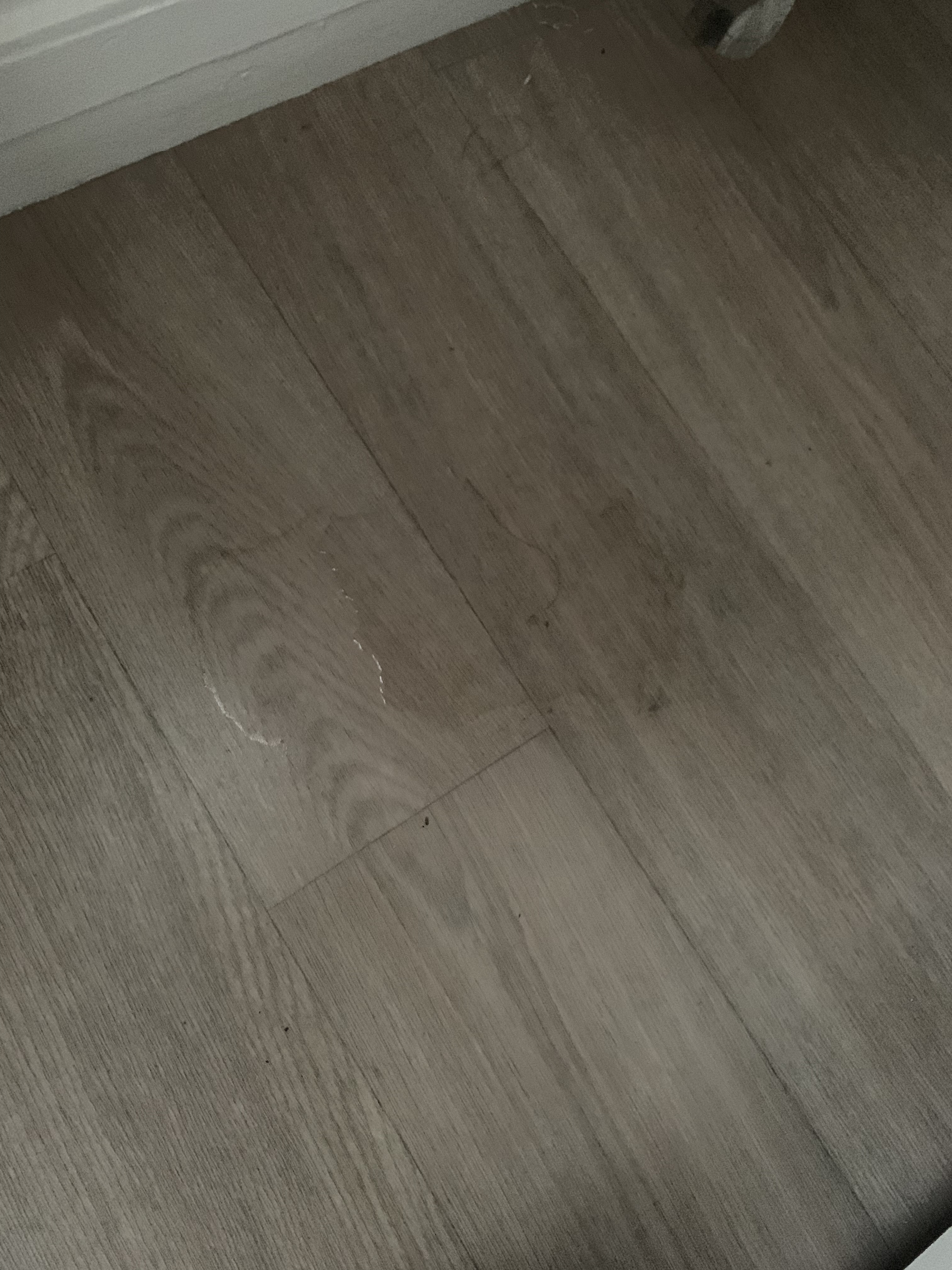 Photo n° 3 de l'avis de Noémie.A fait le 26/06/2023 à 18:42
