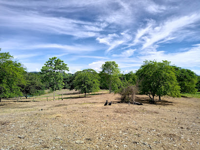 Hacienda Guayabal