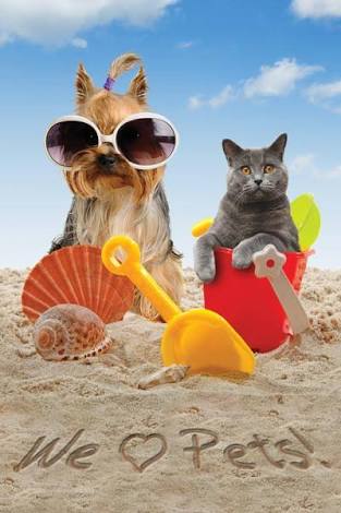 Happy Pets - North Coast Branch