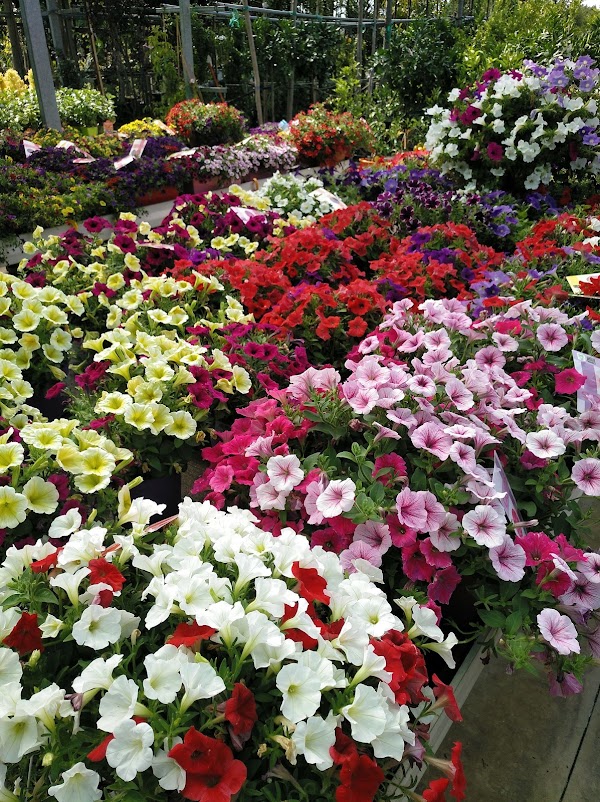 Garden Vives S.L.