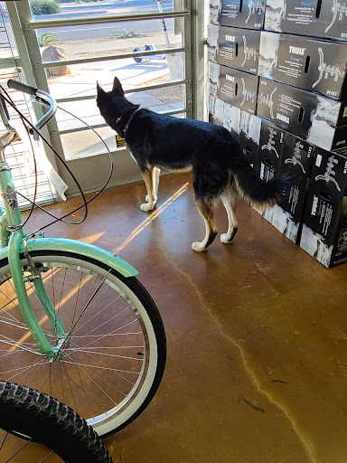Bicycle Store «Landis Cyclery», reviews and photos, 2180 E Southern Ave, Tempe, AZ 85282, USA