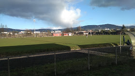 Estadio Municipal Los Notros