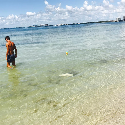 Aquarium «Miami Seaquarium», reviews and photos, 4400 Rickenbacker Causeway, Key Biscayne, FL 33149, USA