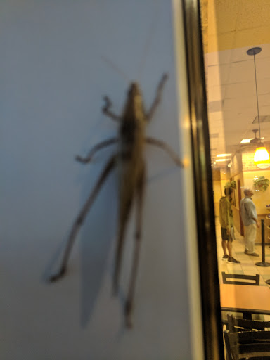 Supermarket «Publix Super Market at Midway Shopping Center», reviews and photos, 4900 Atlanta Hwy, Alpharetta, GA 30004, USA