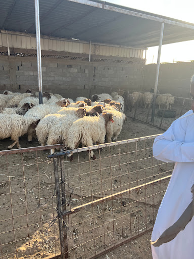 حوش ابو عبدالعزيز العنزي 