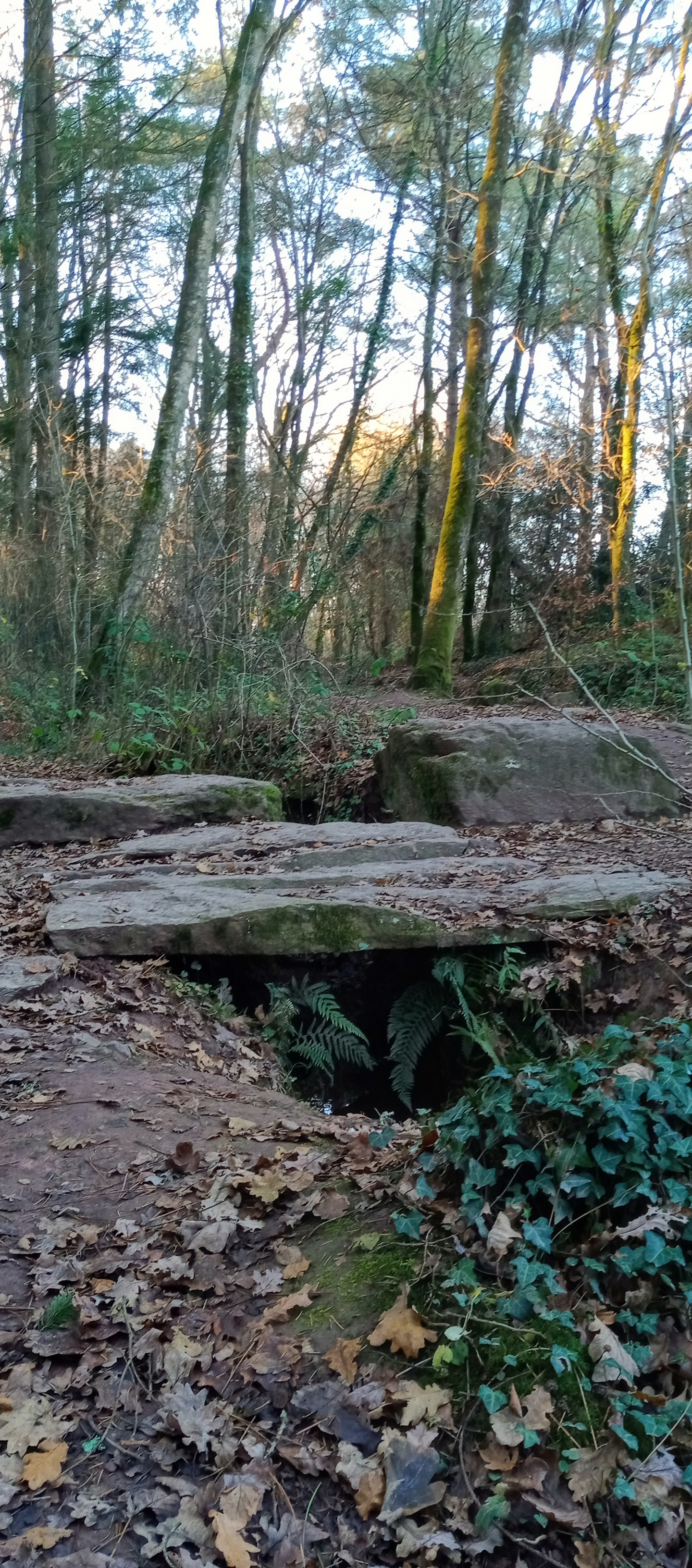 Photo n° 6 de l'avis de Thierry.e fait le 19/12/2021 à 15:02