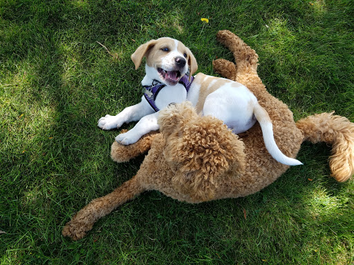 Park «Ruedisale Point Park», reviews and photos, 50400 Ruedisale St, New Baltimore, MI 48047, USA