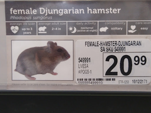 Pet Supply Store «Petco Animal Supplies», reviews and photos, 2005 Crow Canyon Pl, San Ramon, CA 94583, USA