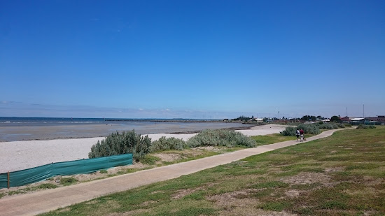 Altona Beach Dog Off