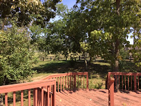 Lexington Acupuncture for Women - Photo 6 - Car repair in Nicholasville, KY, Lexington