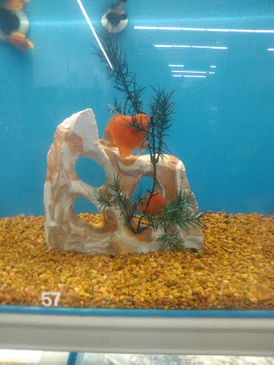 Pet Supply Store «PetSmart», reviews and photos, 21 Trader Ln, Williston, VT 05495, USA