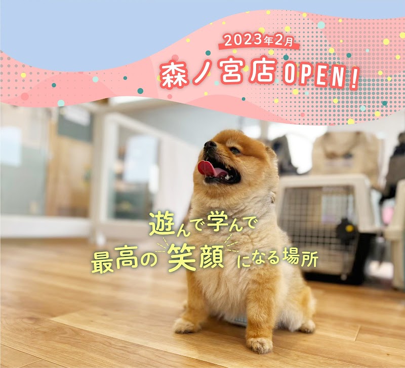 bonne puppy 森ノ宮店