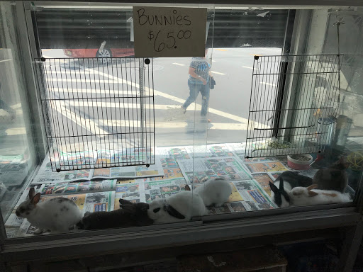 Tropical Fish Store «Ironbound Pet Shop», reviews and photos, 246 Ferry St # 5, Newark, NJ 07105, USA