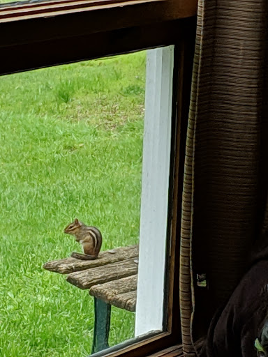 Nature Preserve «Lorrimer Sanctuary», reviews and photos, 790 Ewing Ave, Franklin Lakes, NJ 07417, USA