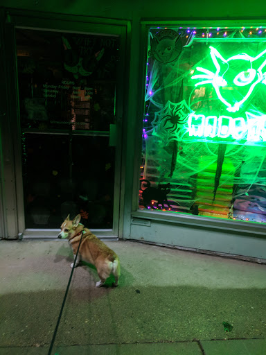 Pet Supply Store «MadCat Pet Supplies», reviews and photos, 1012 Williamson St, Madison, WI 53703, USA